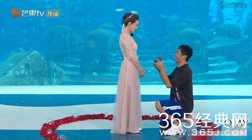 妻子的浪漫旅行郭晓东水下求婚程莉莎 观众直呼好浪漫