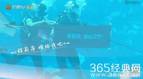 妻子的浪漫旅行郭晓东水下求婚程莉莎 观众直呼好浪漫