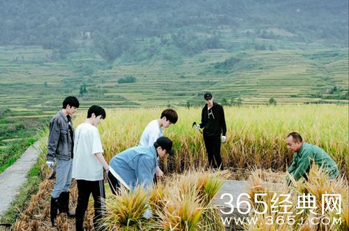 野生厨房坤音四子来袭 唱歌卖艺换食材 看点十足