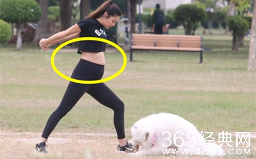 乐基儿承认怀孕3个月 宝宝性别暂时保密