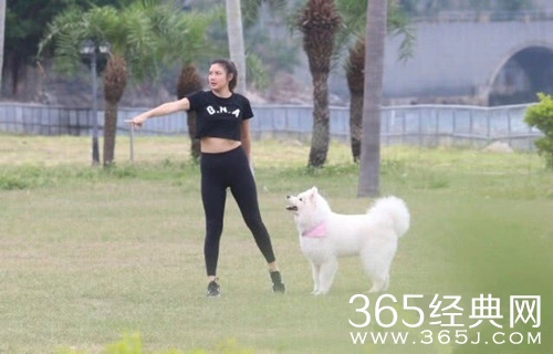 乐基儿承认怀孕3个月 宝宝性别暂时保密