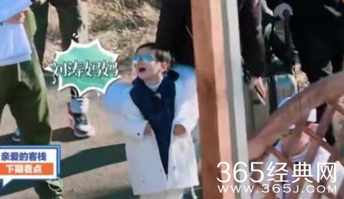 刘涛“儿子”惊喜现身亲爱的客栈2 王鹤棣沈月解锁新职业