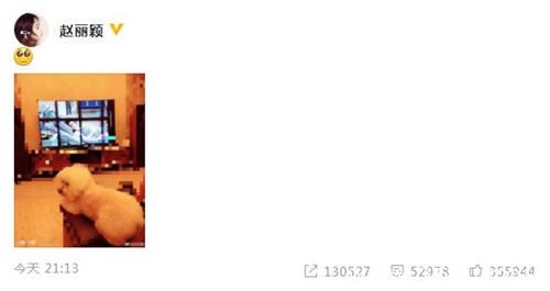 赵丽颖婚后首晒照 与爱犬在看新剧 网友：进度有点慢