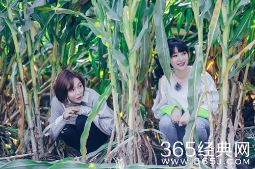 柳岩加盟野生厨房 自曝会考虑领养孩子 还调侃李诞眼睛小