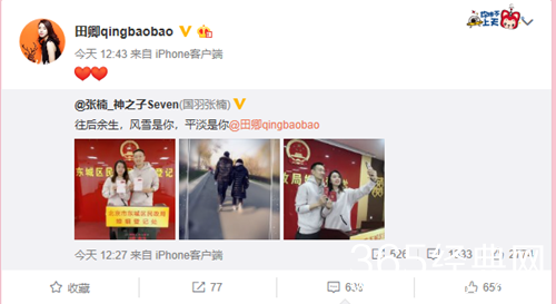 张楠妻子田卿个人资料介绍 中国女子羽毛球队运动员