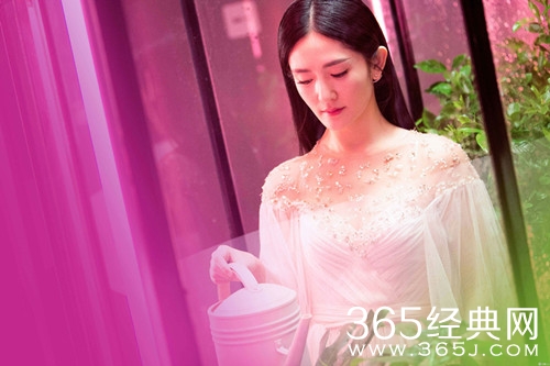 谢娜成立奖学金 支持学习努力家庭困难的孩子们