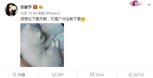 张馨予被曝怀孕5个月 多次被拍衣着宽松 坐等官宣