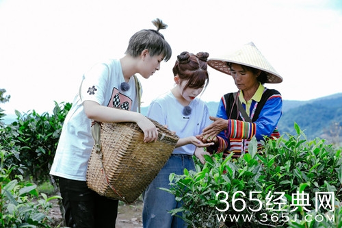 野生厨房第九期嘉宾名单曝光 火箭少女两位成员加盟