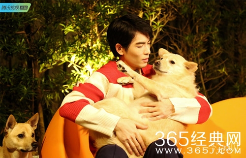 今晚九点见第二期嘉宾萧敬腾 与狗互动超级有爱