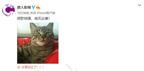 胡歌被曝与90后演员结婚 工作人员否认：假的离谱