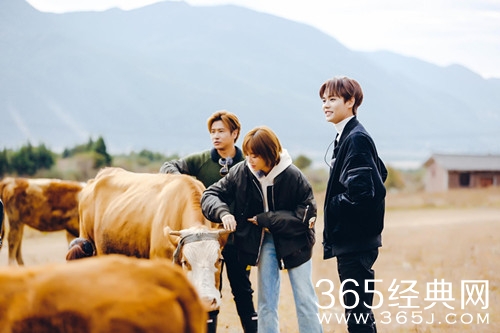 野生厨房姜妍自曝择偶标准 希望找心胸开朗的男生