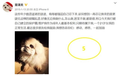 章泽天狂删微博 只留下5条 这波操作有点看不太懂