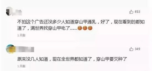 杨颖拍广告帮倒忙 网友：真为穿山甲感到担忧