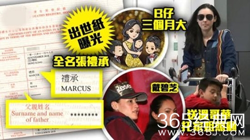 张柏芝三胎出生证曝光 生父身份依旧扑朔迷离