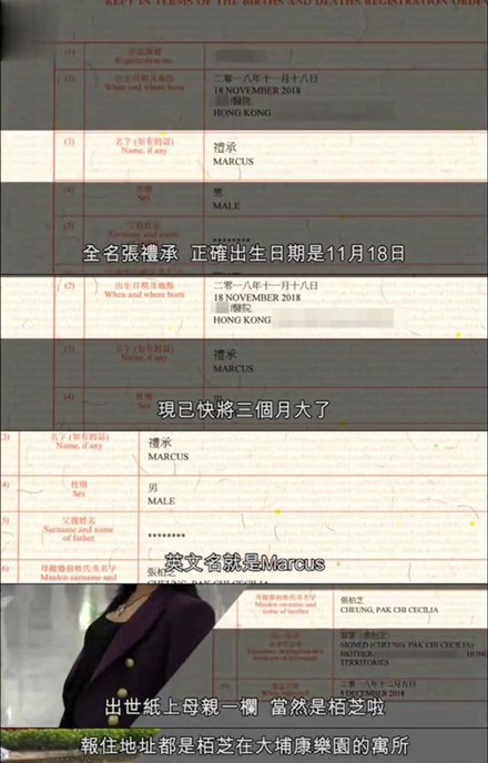 张柏芝三胎儿子名字曝光 跟随妈妈姓 叫张礼承