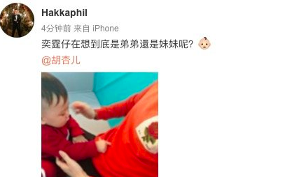 胡杏儿宣布怀二胎 曾开玩笑指怀孕没那么容易