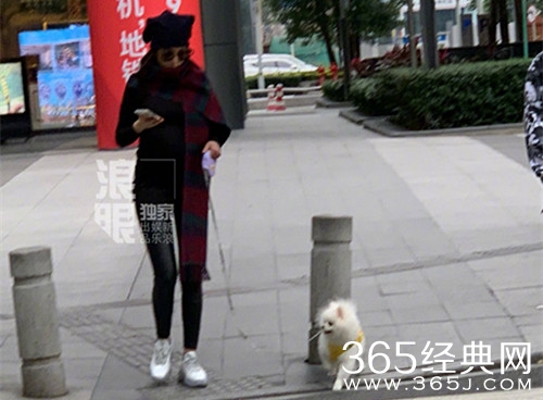 张馨予孕肚首曝光 小肚微凸但四肢依旧纤细