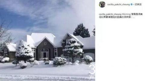 张柏芝北京过情人节 到底是谁在北京陪柏芝过节呢