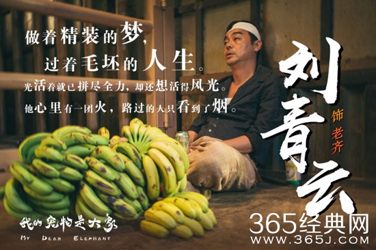 《我的宠物是大象》明天上映！集结各路老戏骨阵容豪华！