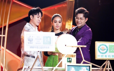 歌手今晚进入总决赛 吴青峰蔡依林亮相总决赛红毯