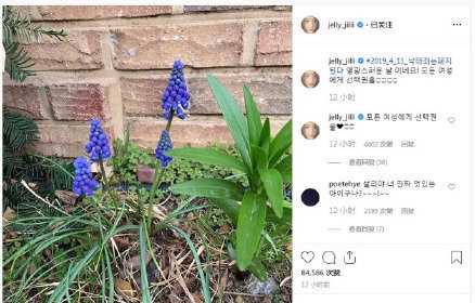 雪莉ins发声 支持废除堕胎罪