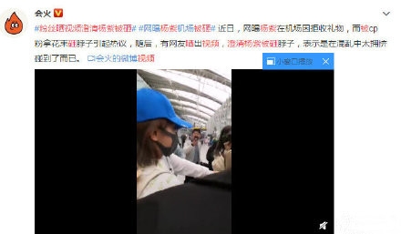 杨紫粉丝澄清机场被砸 工作室呼吁理智追星