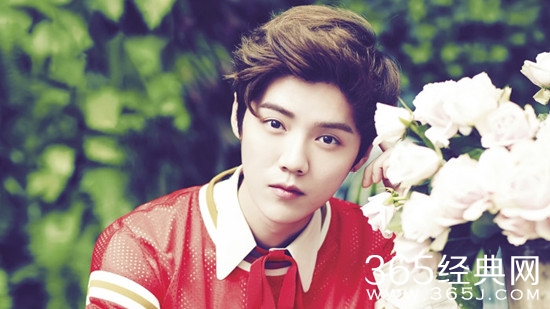 网传鹿晗将任女版青春有你pd 粉丝呼吁关注新专辑