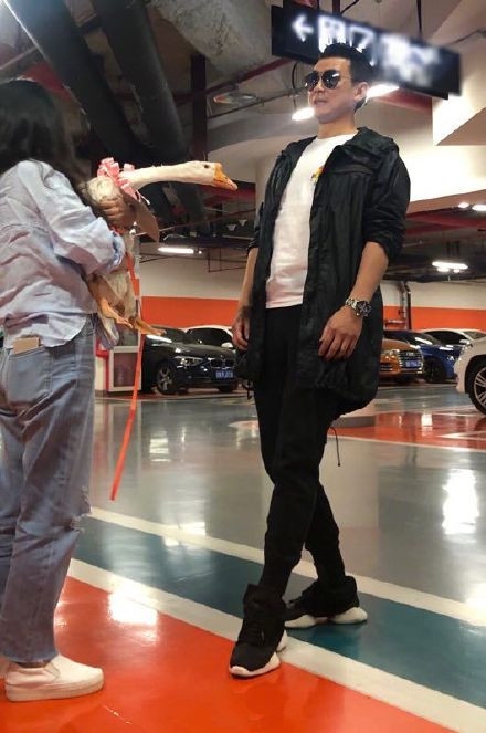 保剑锋收到粉丝送的活体大鹅 惊出双下巴