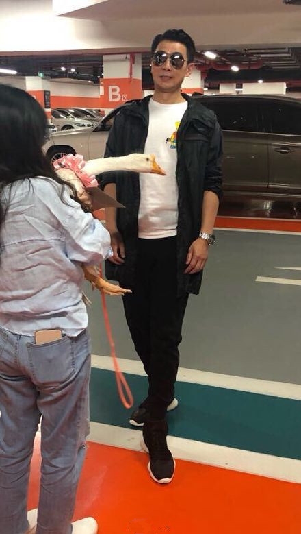 保剑锋收到粉丝送的活体大鹅 惊出双下巴