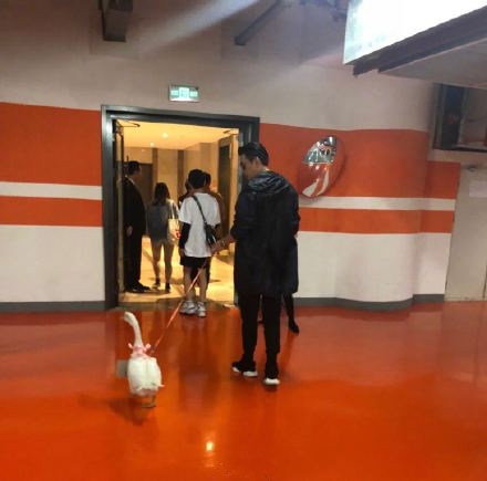 保剑锋收到粉丝送的活体大鹅 惊出双下巴