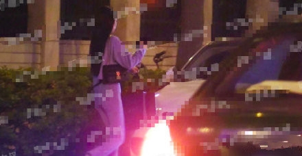 李亚鹏新恋情疑曝光 与美女一同回家