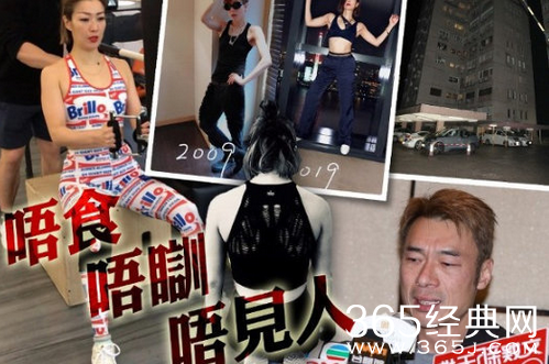 媒体曝郑秀文花钱雇司机 偷拍许志安黄心颖亲热视频