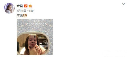 金晨发文辟谣与贾乃亮恋情：猫不是一只 壳不止一个