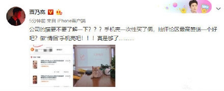 金晨发文辟谣与贾乃亮恋情：猫不是一只 壳不止一个