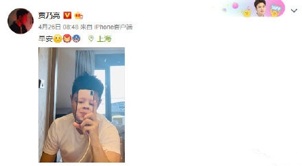 金晨发文辟谣与贾乃亮恋情：猫不是一只 壳不止一个