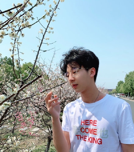 《最强大脑》收官 王易木发文：感恩值得无愧