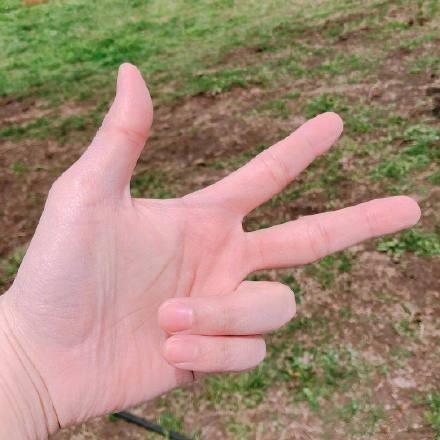 圭贤晒临近退伍三天手势图 用四种语言与粉丝问候