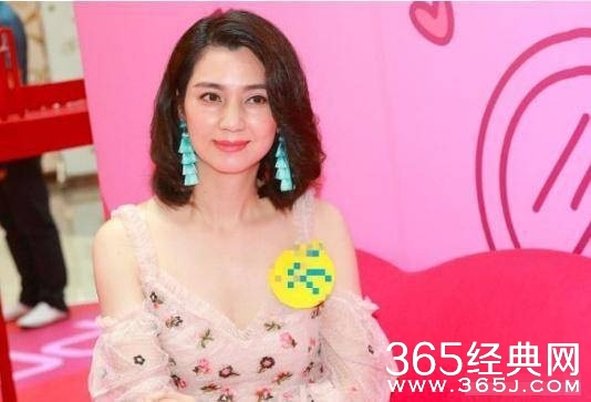 知情人士曝洪欣已原谅张丹峰 经纪人毕滢辞职