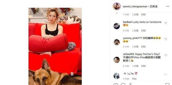 郑秀文母亲节晒与许志安爱犬合照：很是有爱 陪伴就是礼物