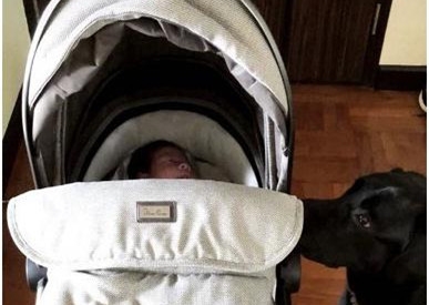 乐基儿自曝坐月子一个月不洗头 晒儿子Hunter满月正面照