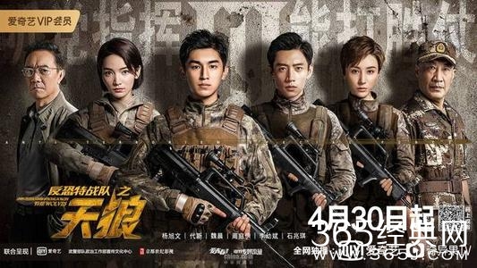 《反恐特战队之天狼》是根据同名小说改编的吗