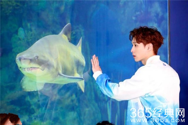 《极限挑战5》贾乃亮惊喜加盟 极挑团重返童年