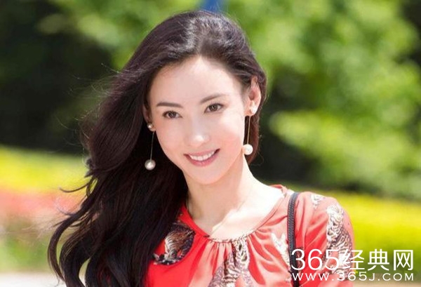 向太评论张柏芝综艺争议：说谎成瘾自己都信了