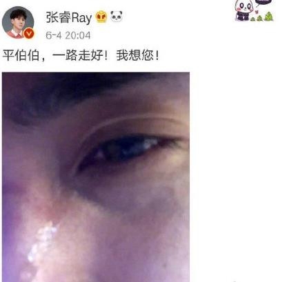 张睿晒流泪照悼念琼瑶老公 画风做作被嘲讽为姜潮第二