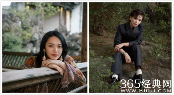 姚晨刘涛合体拍写真 一个霸气一个冷艳