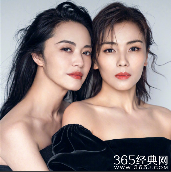 姚晨刘涛合体拍写真 一个霸气一个冷艳