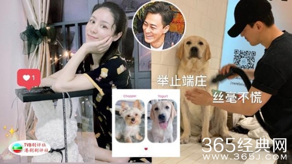 港媒曝林峯向女友求婚 将于年底生日时结婚