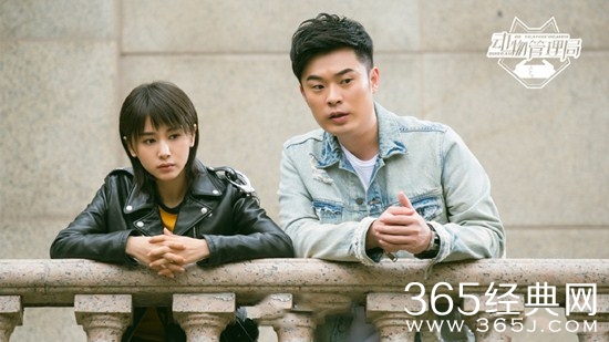 陈赫王子文携手《动物管理局》，“曲妖精”变身“黄鳝精”