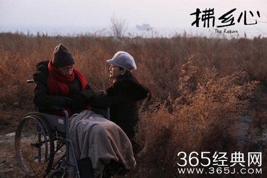 《拂乡心》定档中秋  属于秦海璐式的“电影语言”