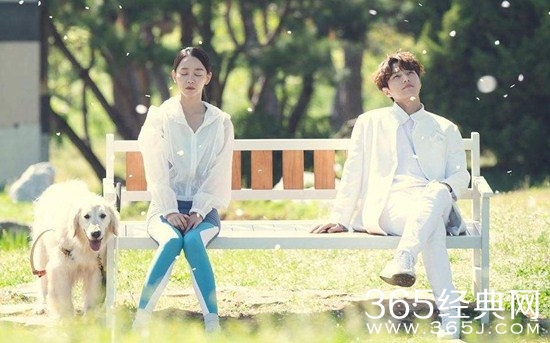 《仅此一次的爱情》OST Part 5：Stay歌词中文